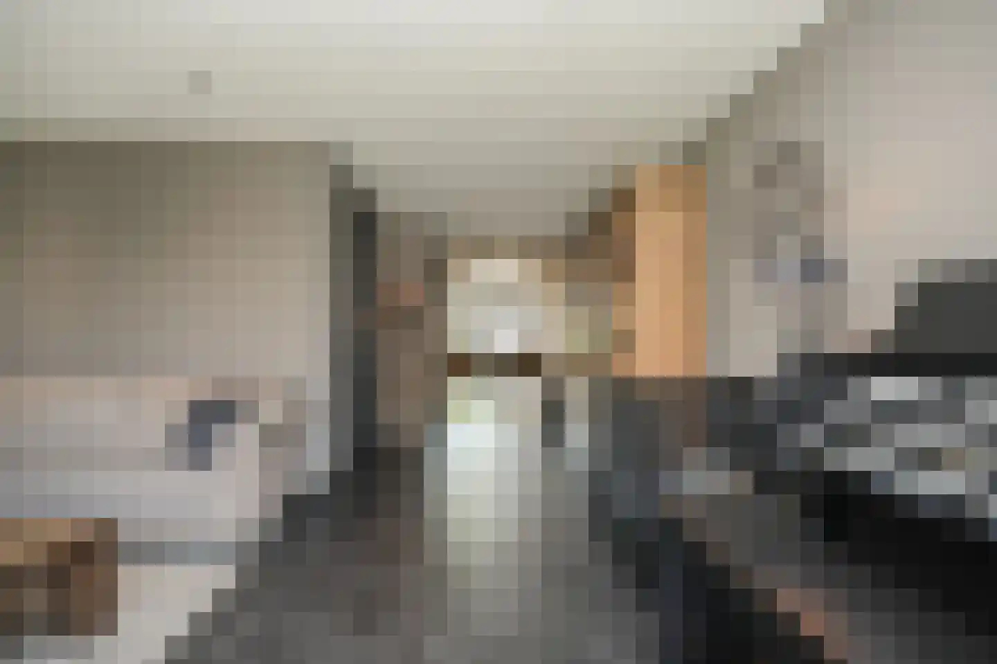 Viergeverstraat 52 Opheusden thumbnail 12
