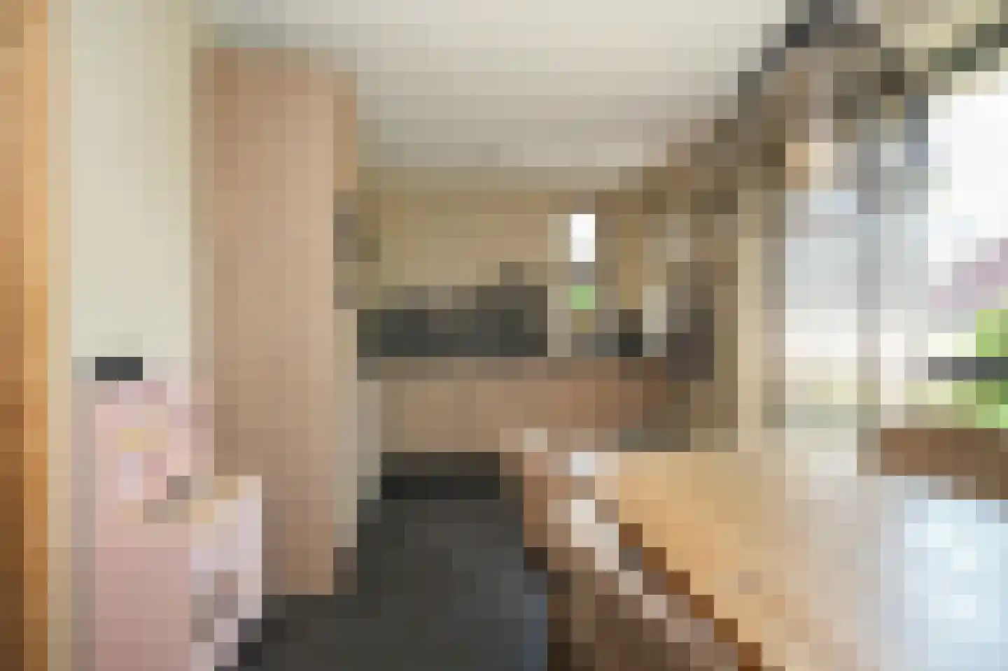 Viergeverstraat 52 Opheusden thumbnail 16