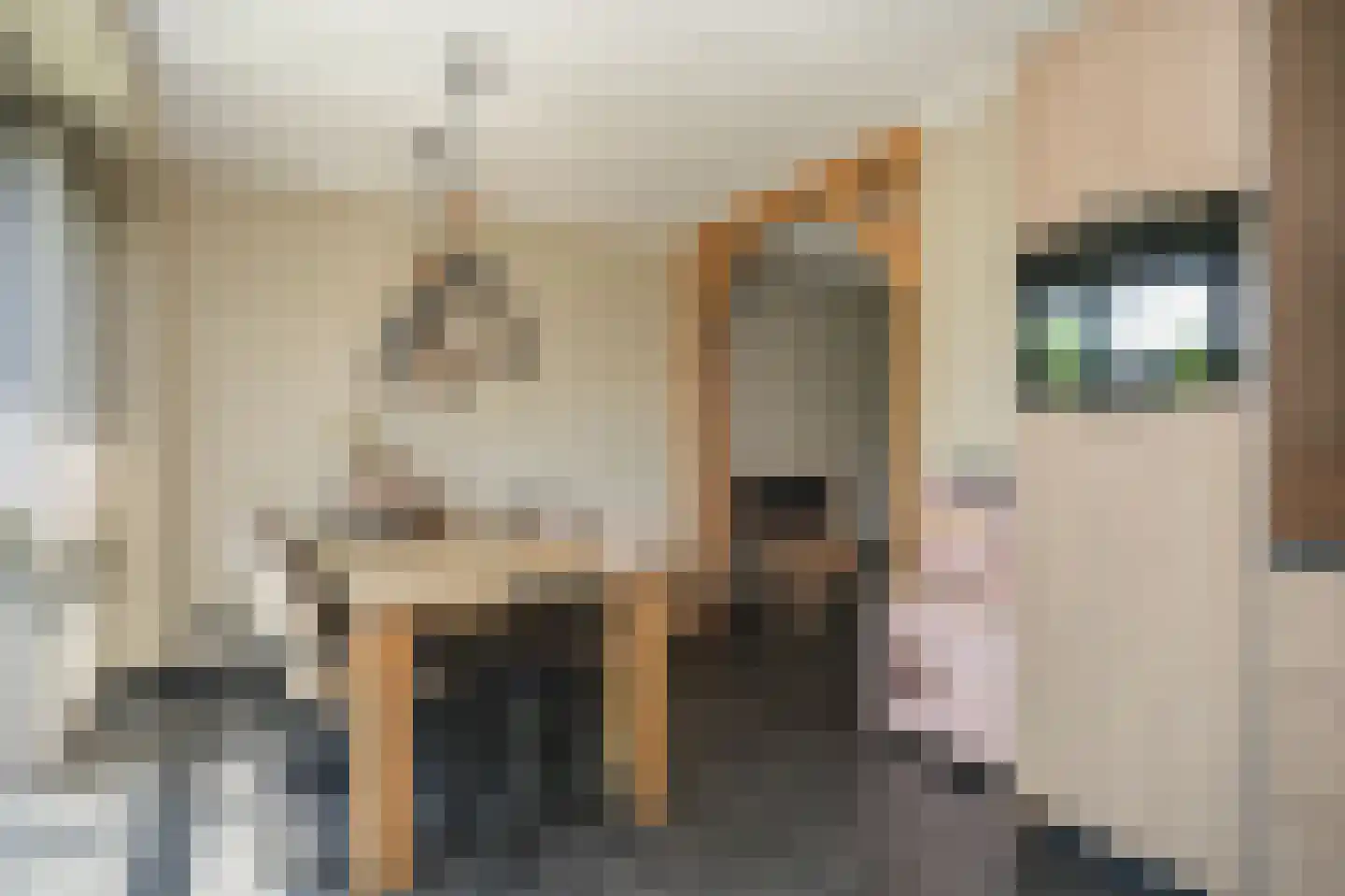 Viergeverstraat 52 Opheusden thumbnail 17