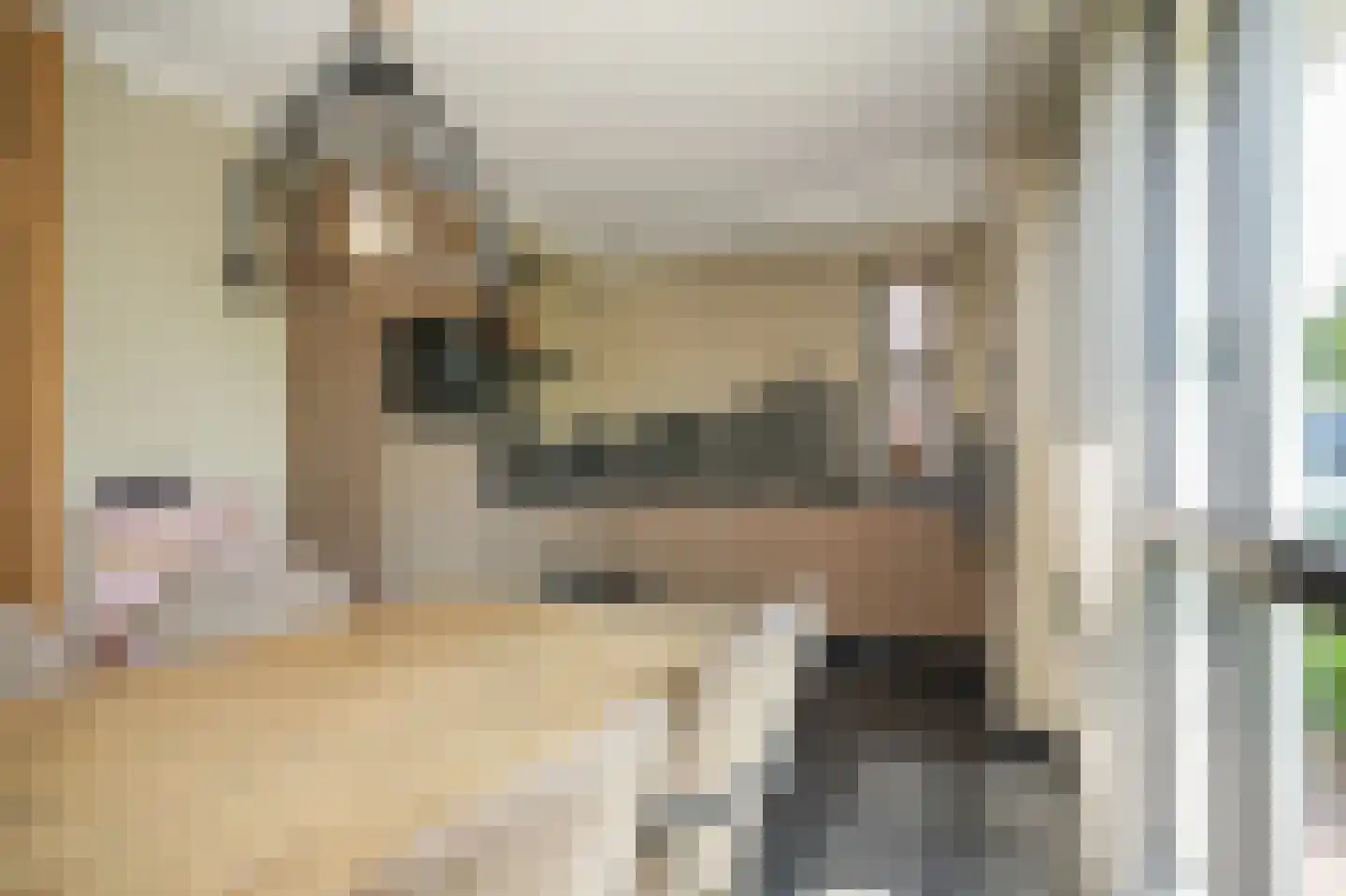 Viergeverstraat 52 Opheusden thumbnail 18