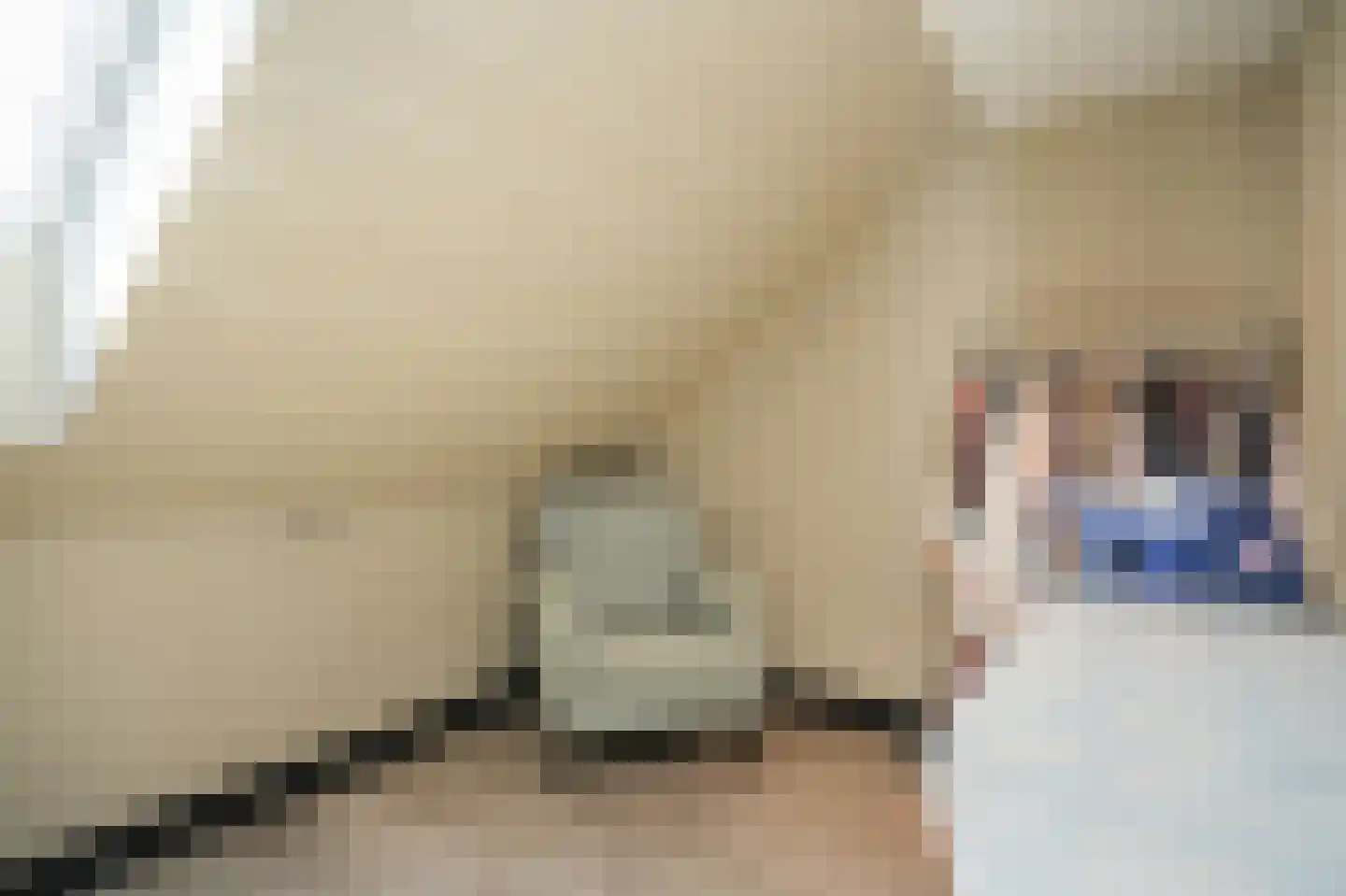 Viergeverstraat 52 Opheusden thumbnail 33