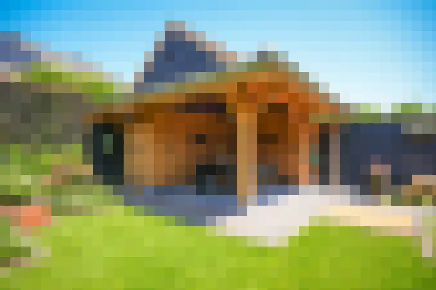 Viergeverstraat 52 Opheusden thumbnail 44