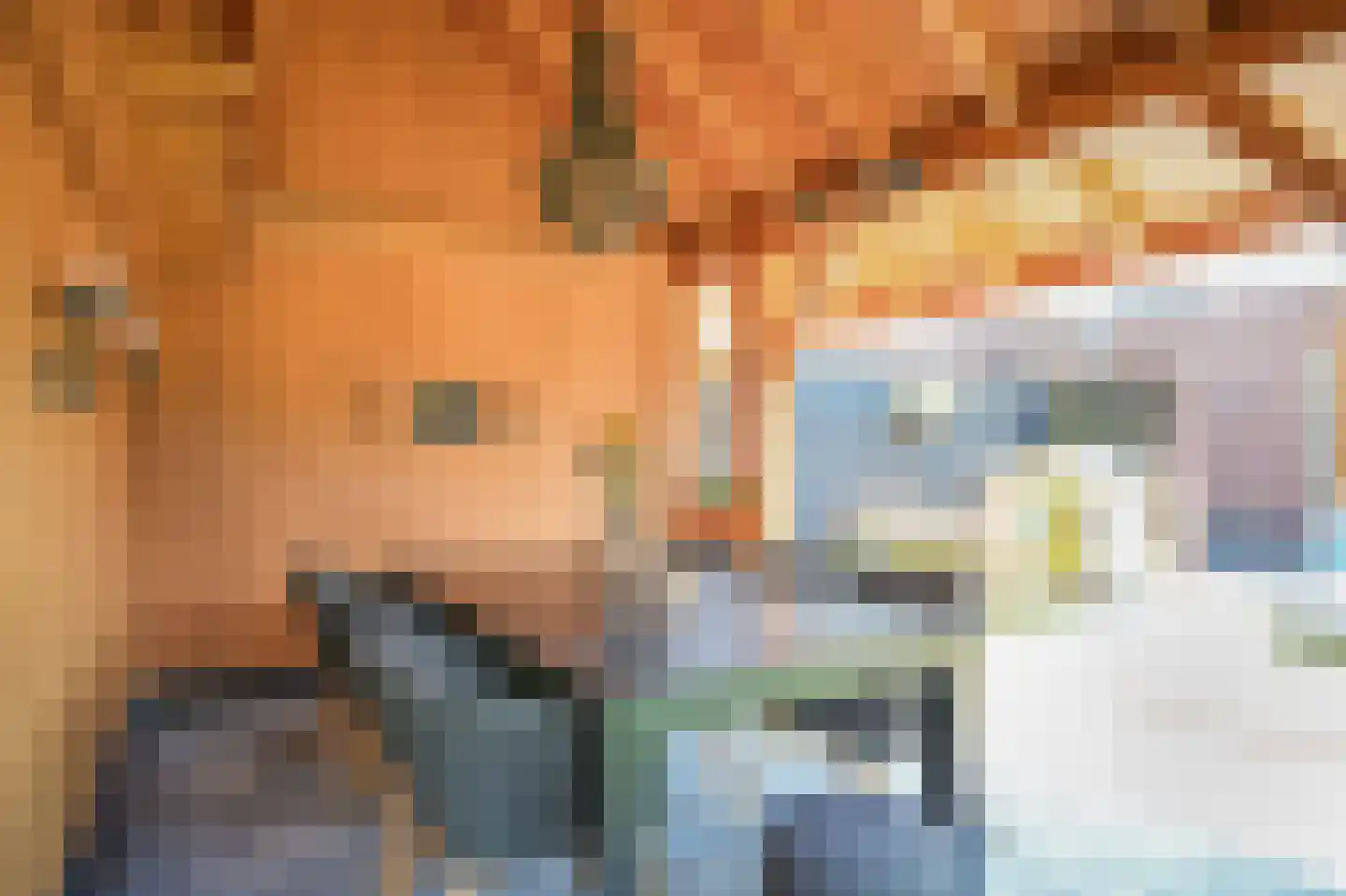 Viergeverstraat 52 Opheusden thumbnail 45