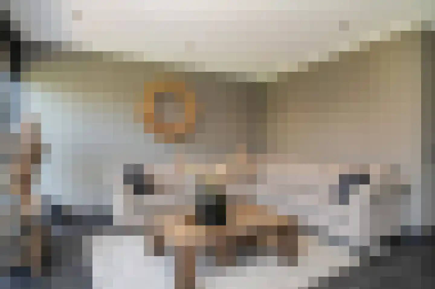 Viergeverstraat 52 Opheusden thumbnail 9