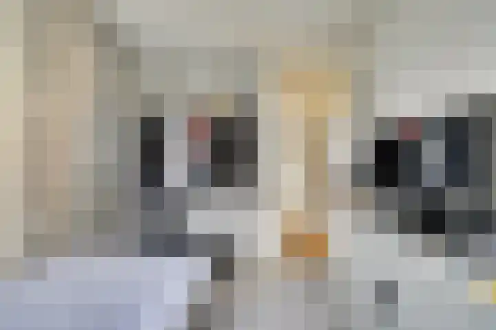 Viergeverstraat 7 Rotterdam thumbnail 17
