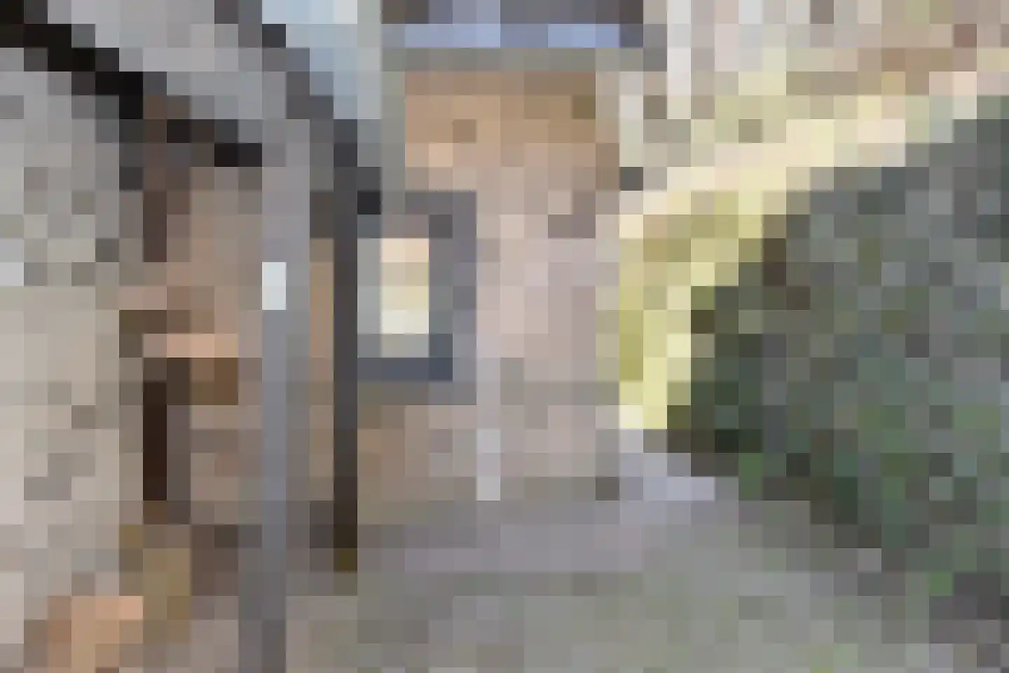 Viergrenzenweg 1 Vaals thumbnail 10