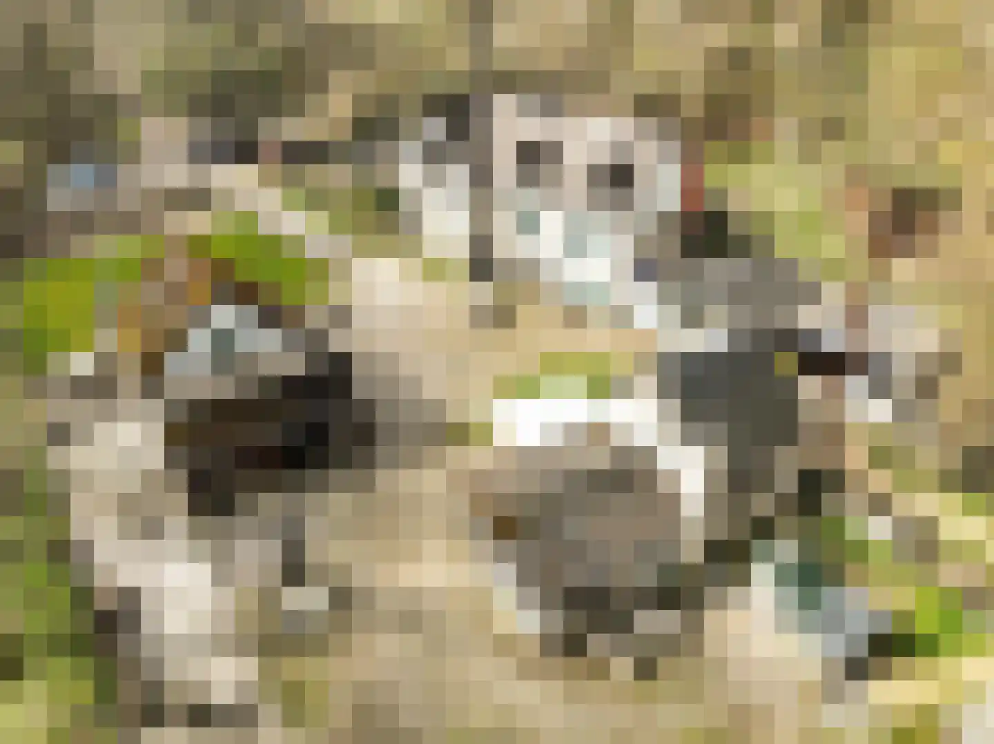 Viergrenzenweg 1 Vaals thumbnail 12