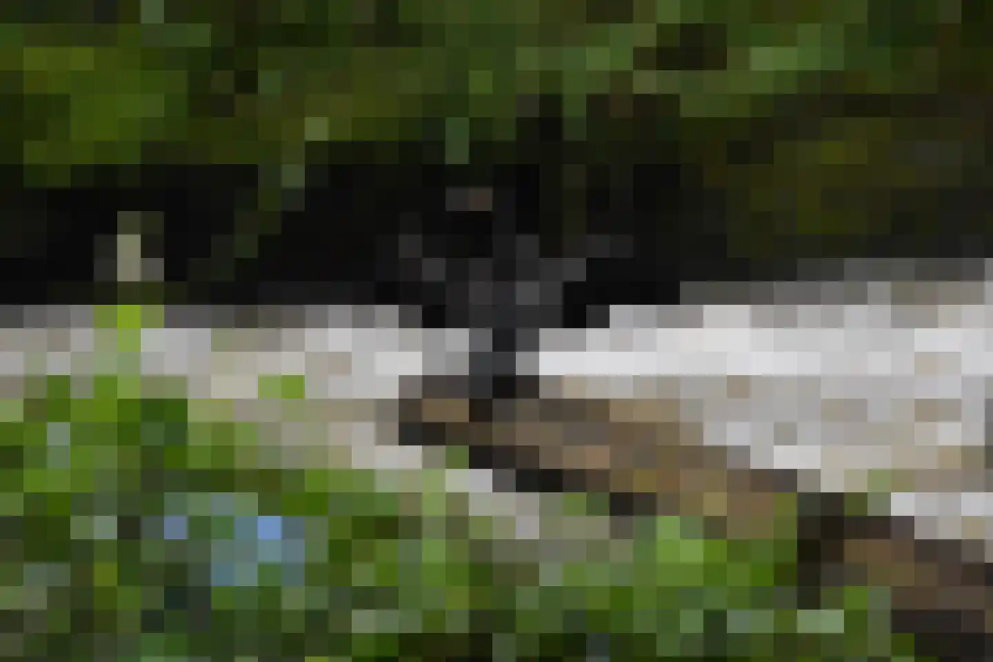 Viergrenzenweg 1 Vaals thumbnail 16