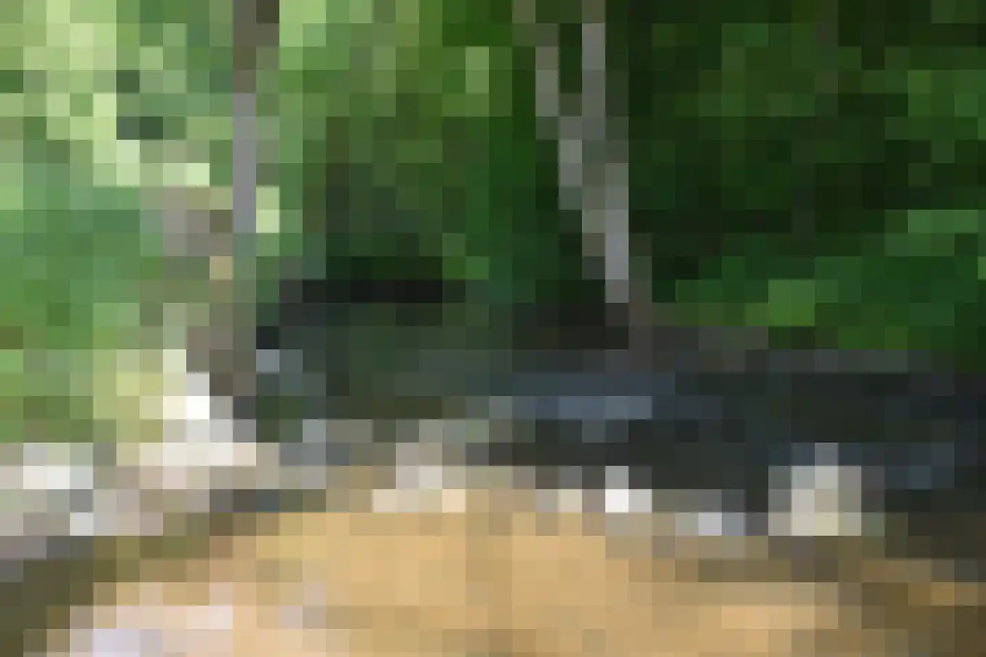 Viergrenzenweg 1 Vaals thumbnail 17