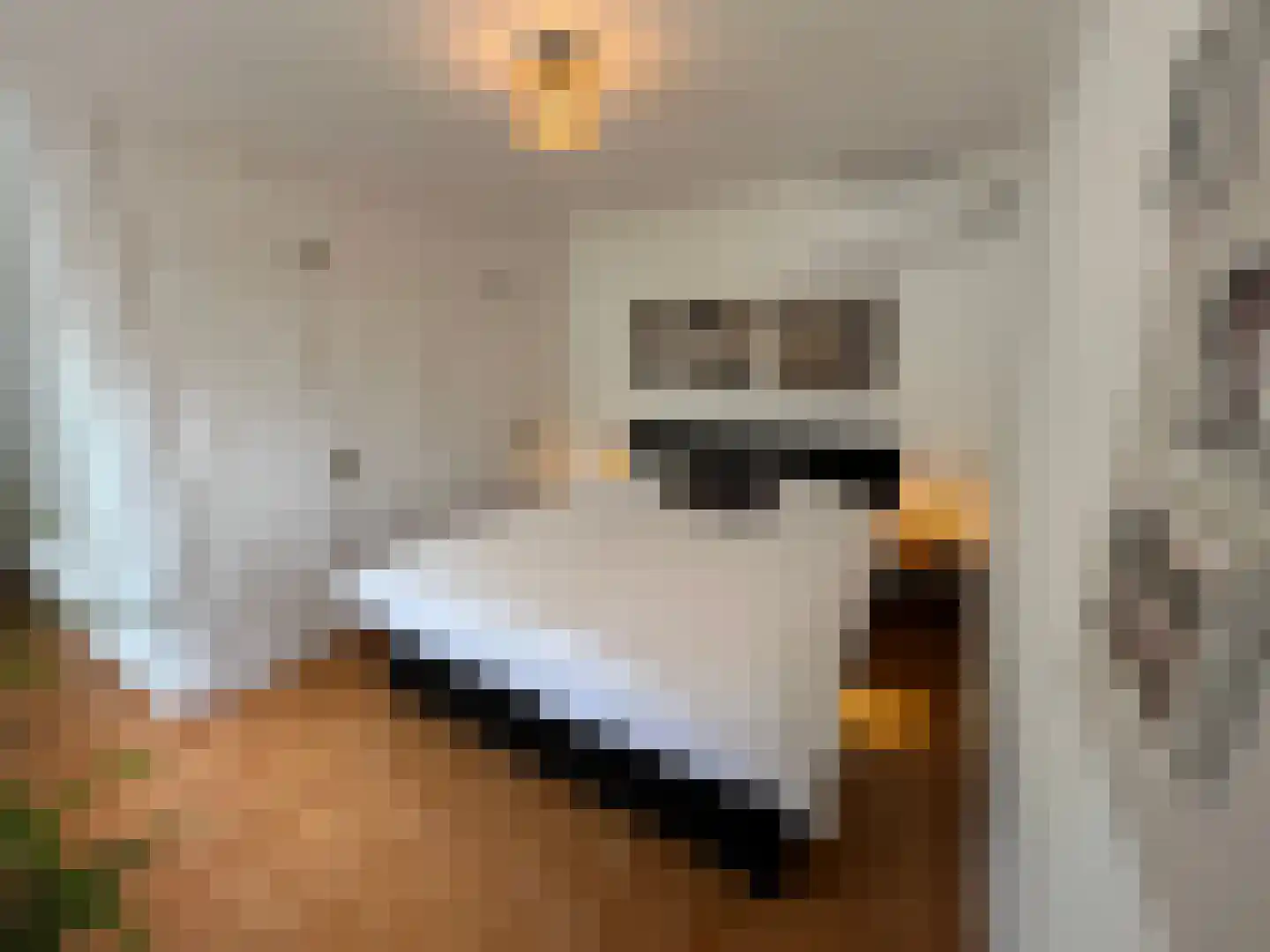 Viergrenzenweg 1 Vaals thumbnail 22