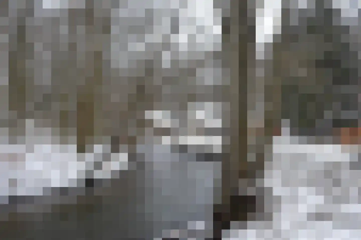 Viergrenzenweg 1 Vaals thumbnail 24