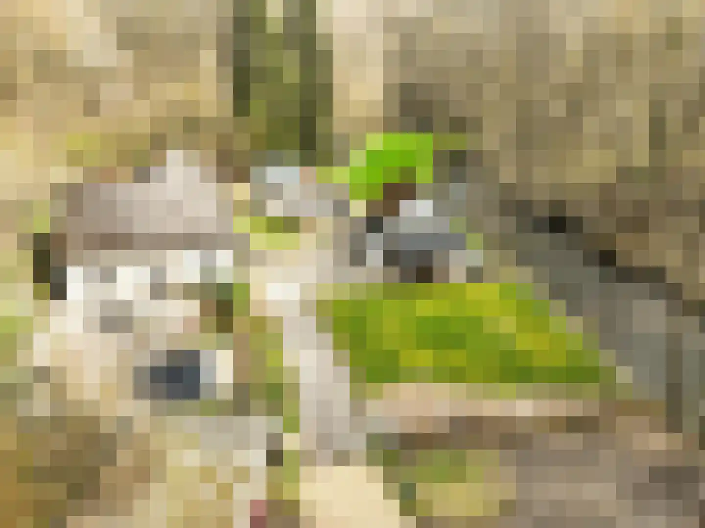 Viergrenzenweg 1 Vaals thumbnail 4