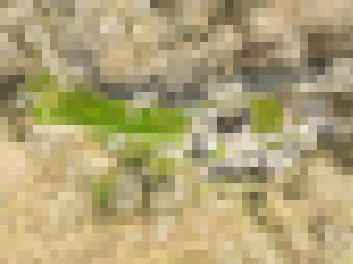Viergrenzenweg 1 Vaals thumbnail 5