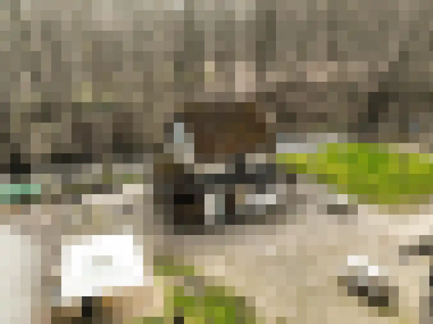 Viergrenzenweg 1 Vaals thumbnail 6
