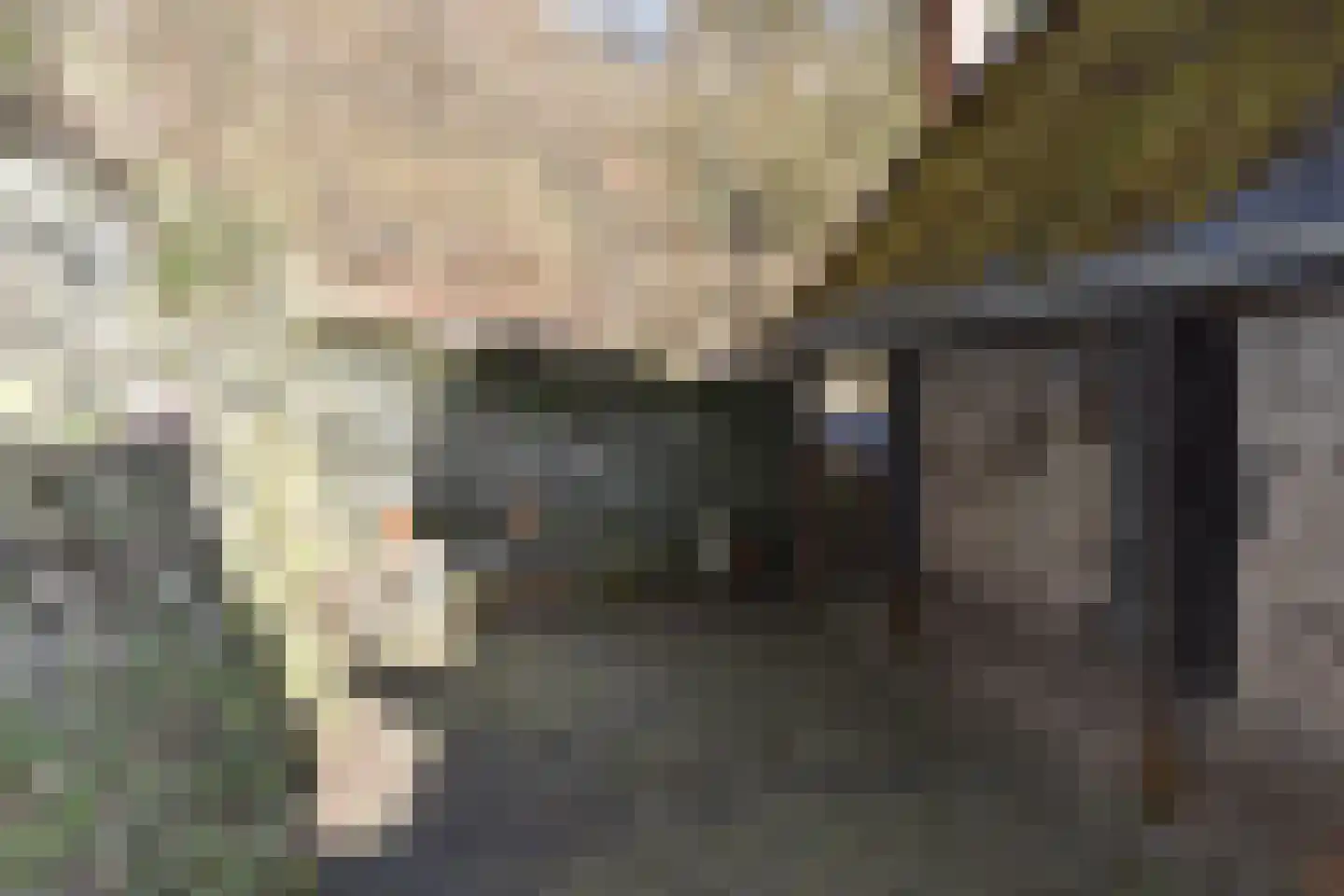 Viergrenzenweg 1 Vaals thumbnail 9