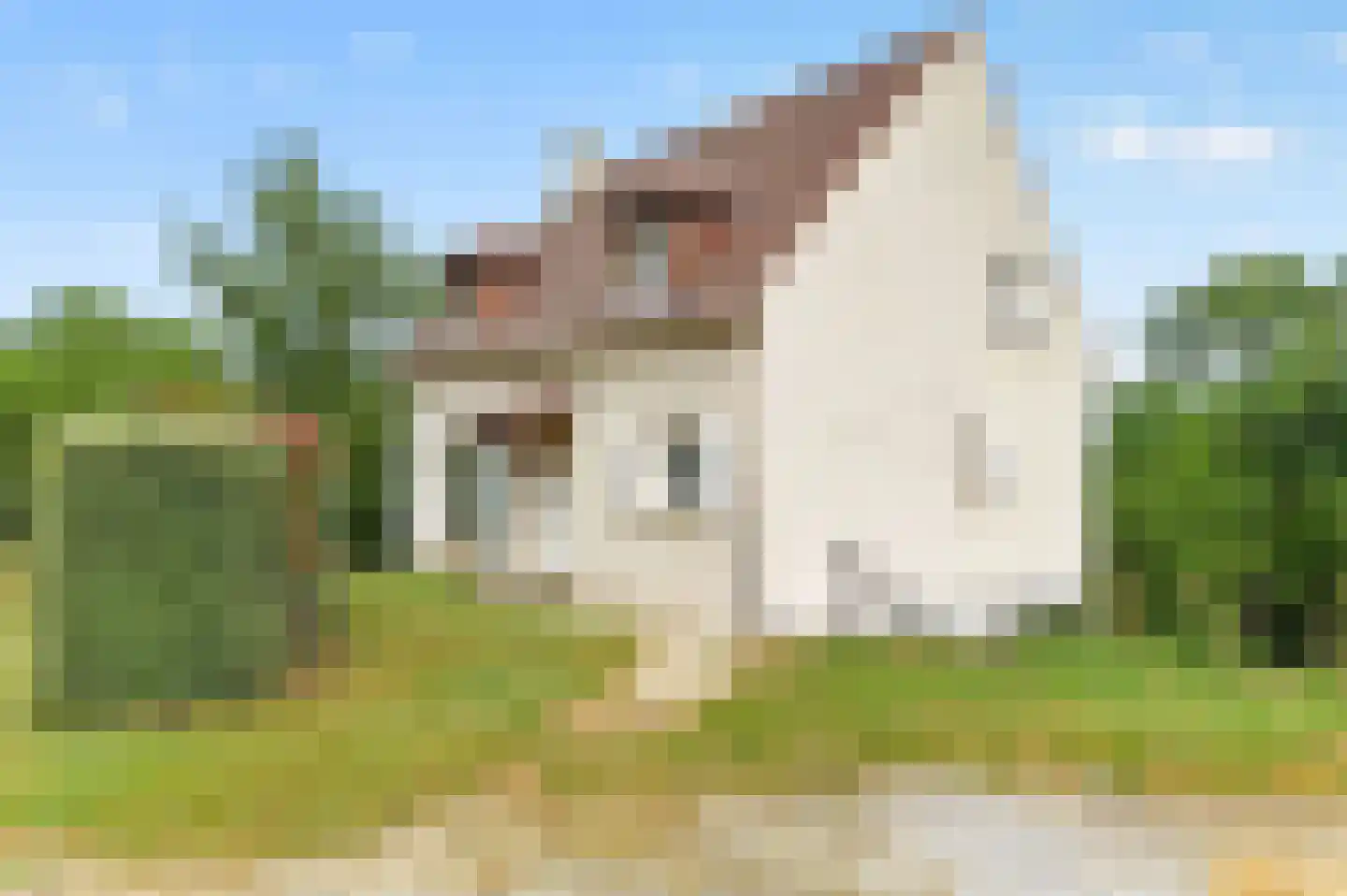 Viergrenzenweg 13 Vaals thumbnail 6
