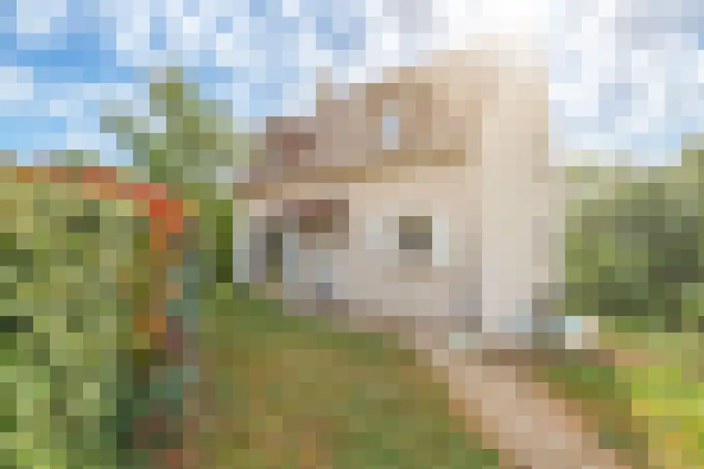 Viergrenzenweg 13 Vaals thumbnail 7