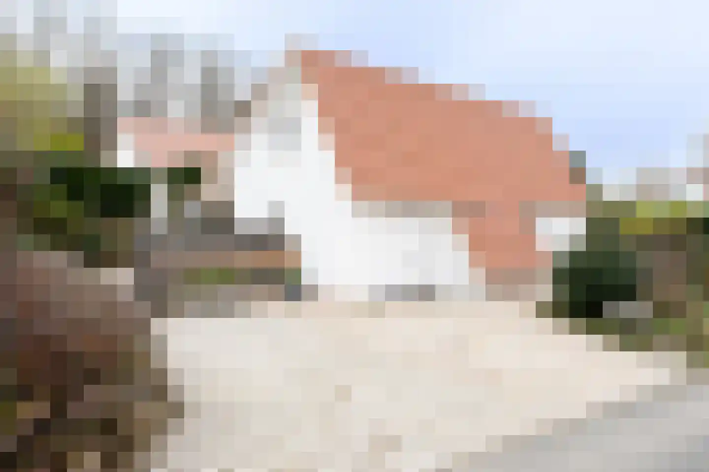 Viergrenzenweg 133 Vaals thumbnail 21