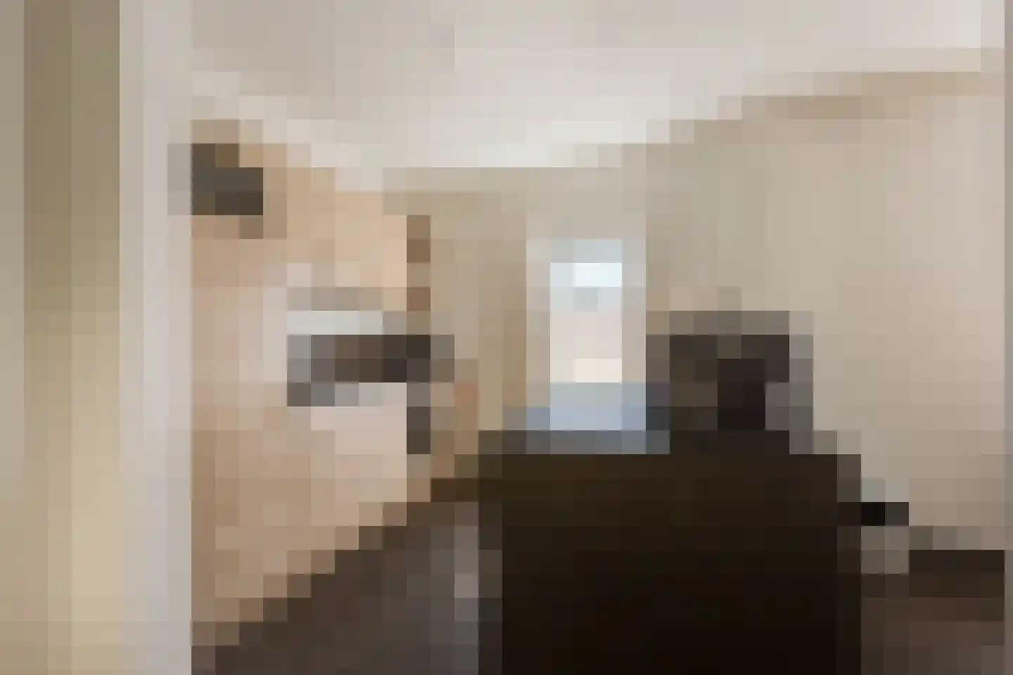 Viergrenzenweg 14 Vaals thumbnail 10
