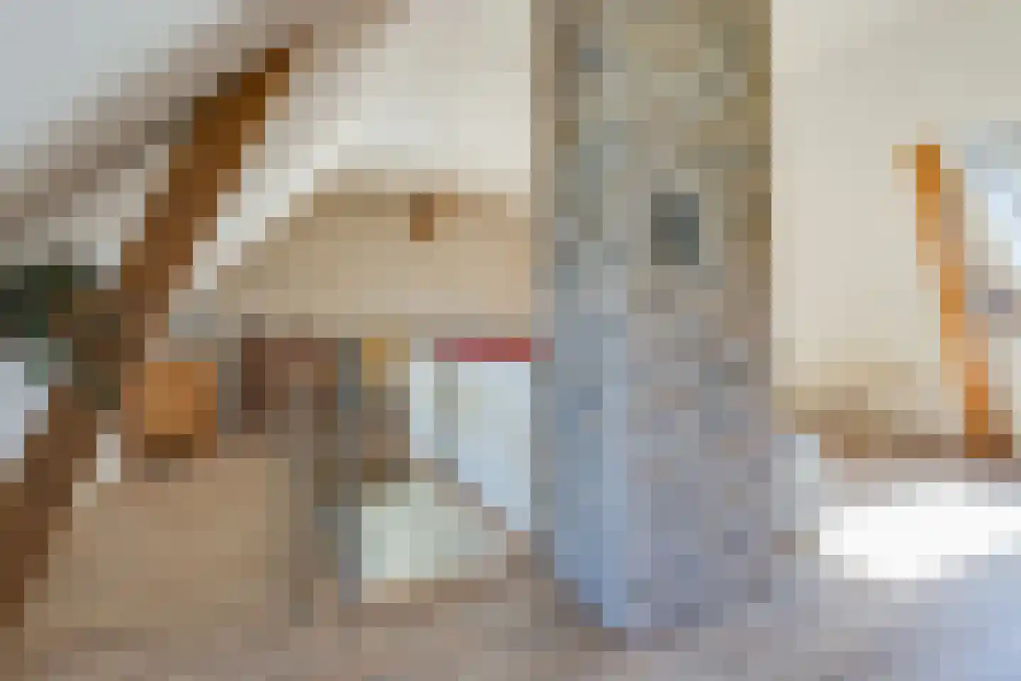 Viergrenzenweg 14 Vaals thumbnail 15