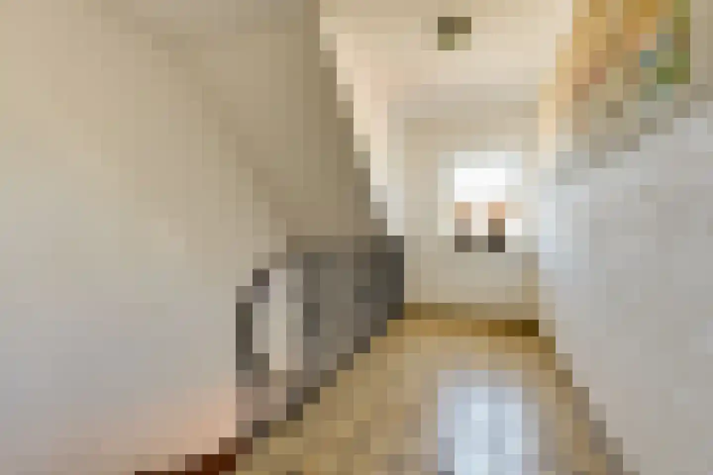 Viergrenzenweg 15 Vaals thumbnail 37