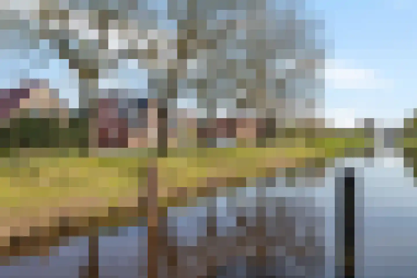 Viergrenzenweg 15 Vaals thumbnail 4