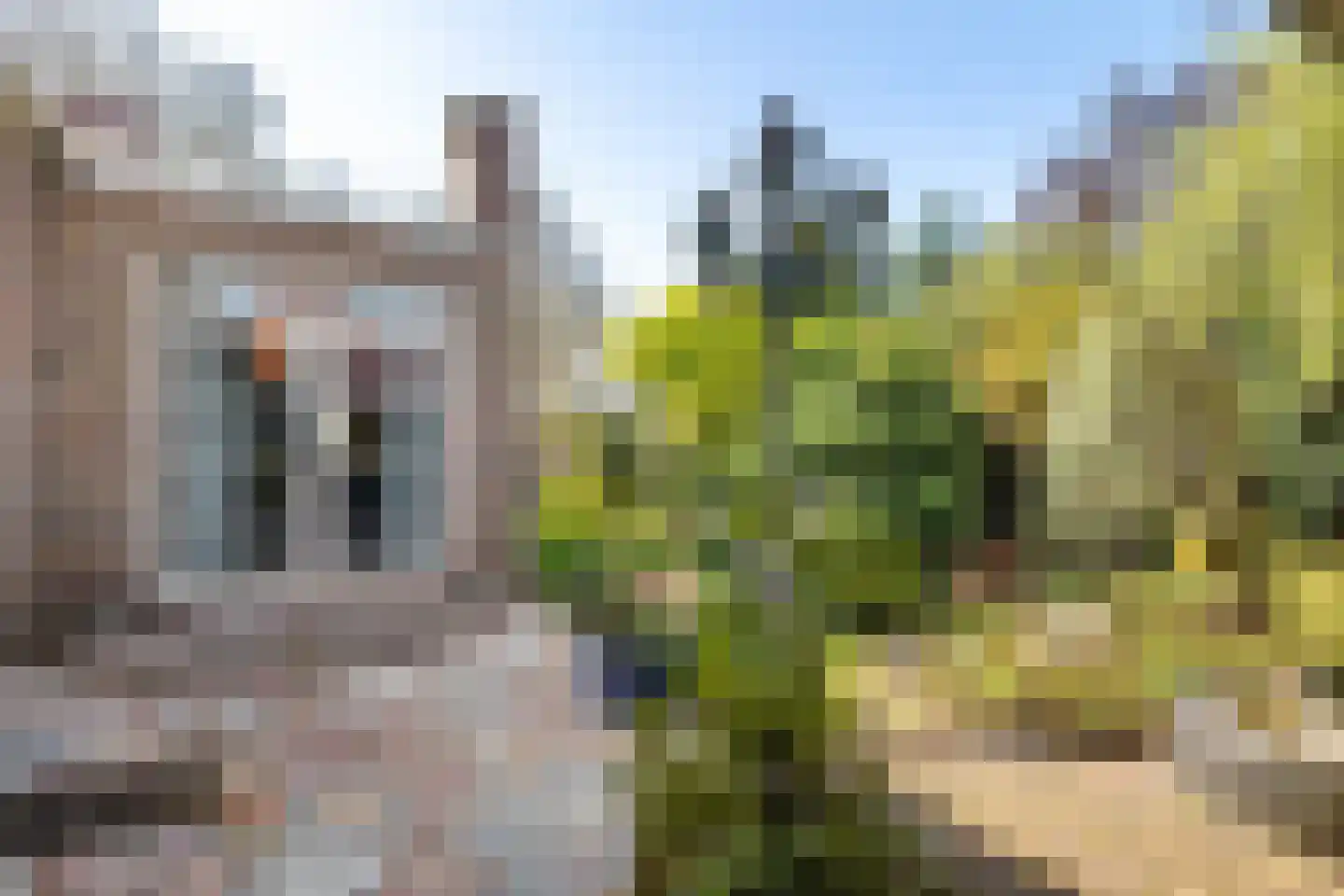 Viergrenzenweg 15 Vaals thumbnail 8