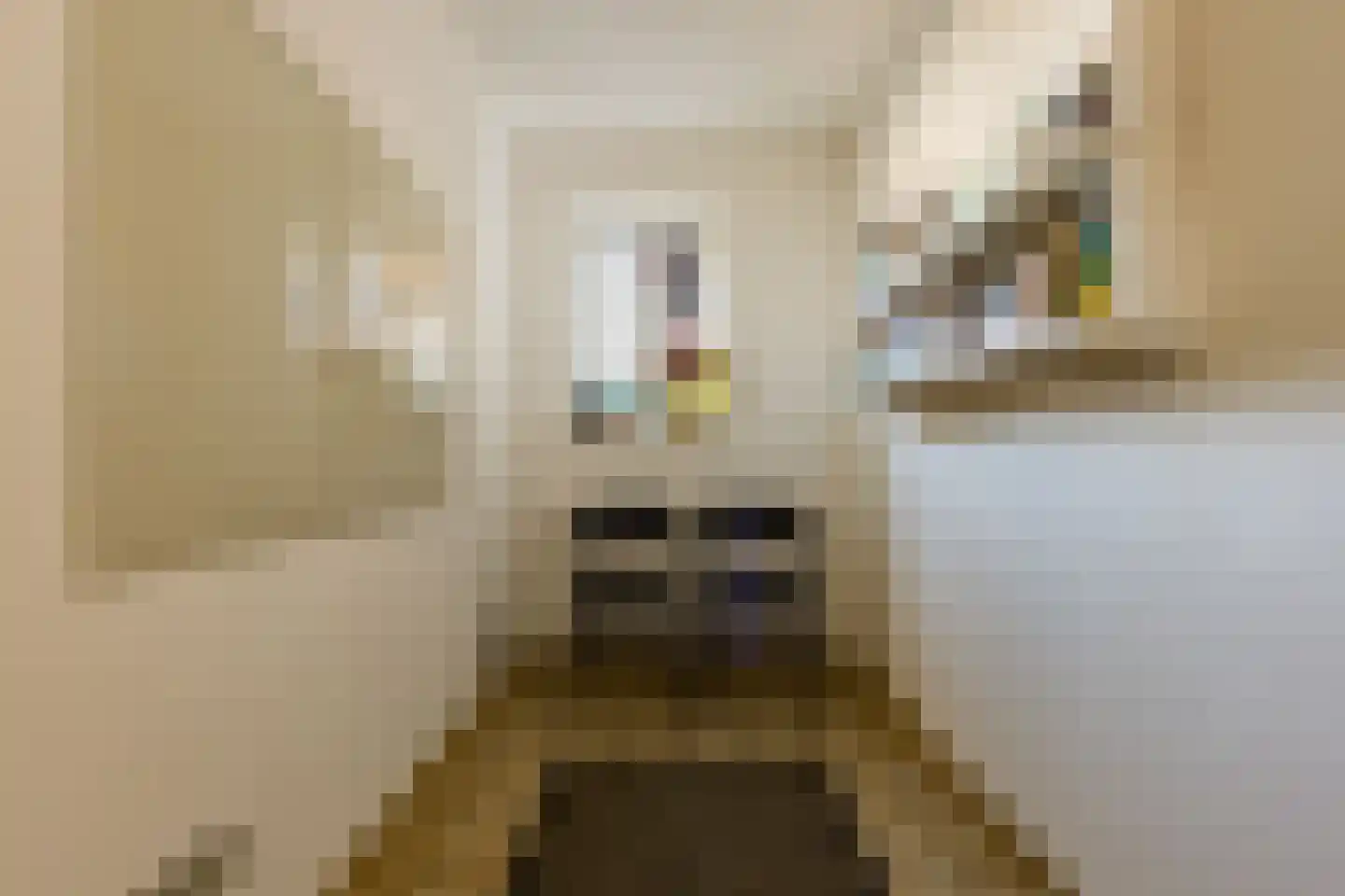 Viergrenzenweg 15 Vaals thumbnail 8