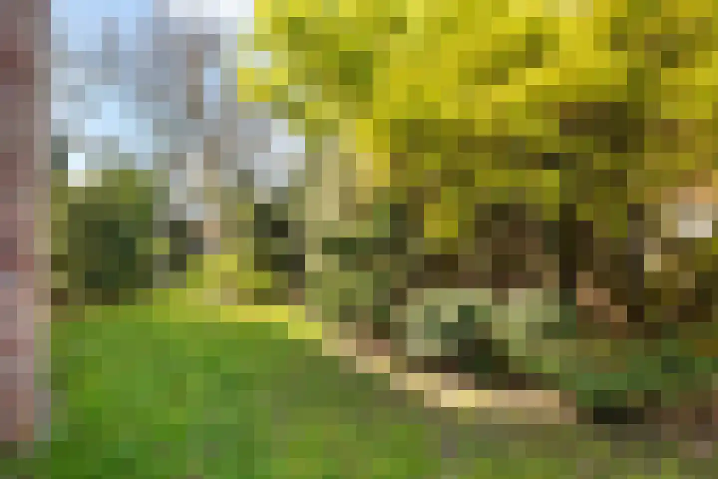 Viergrenzenweg 15 Vaals thumbnail 9