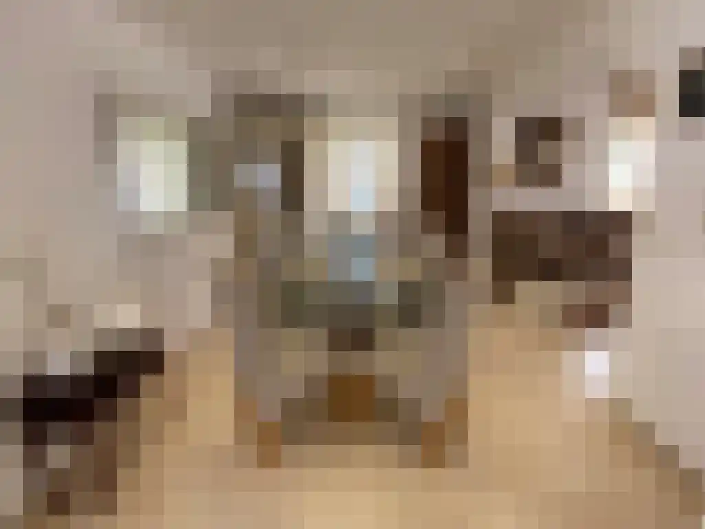 Viergrenzenweg 16 Vaals thumbnail 7