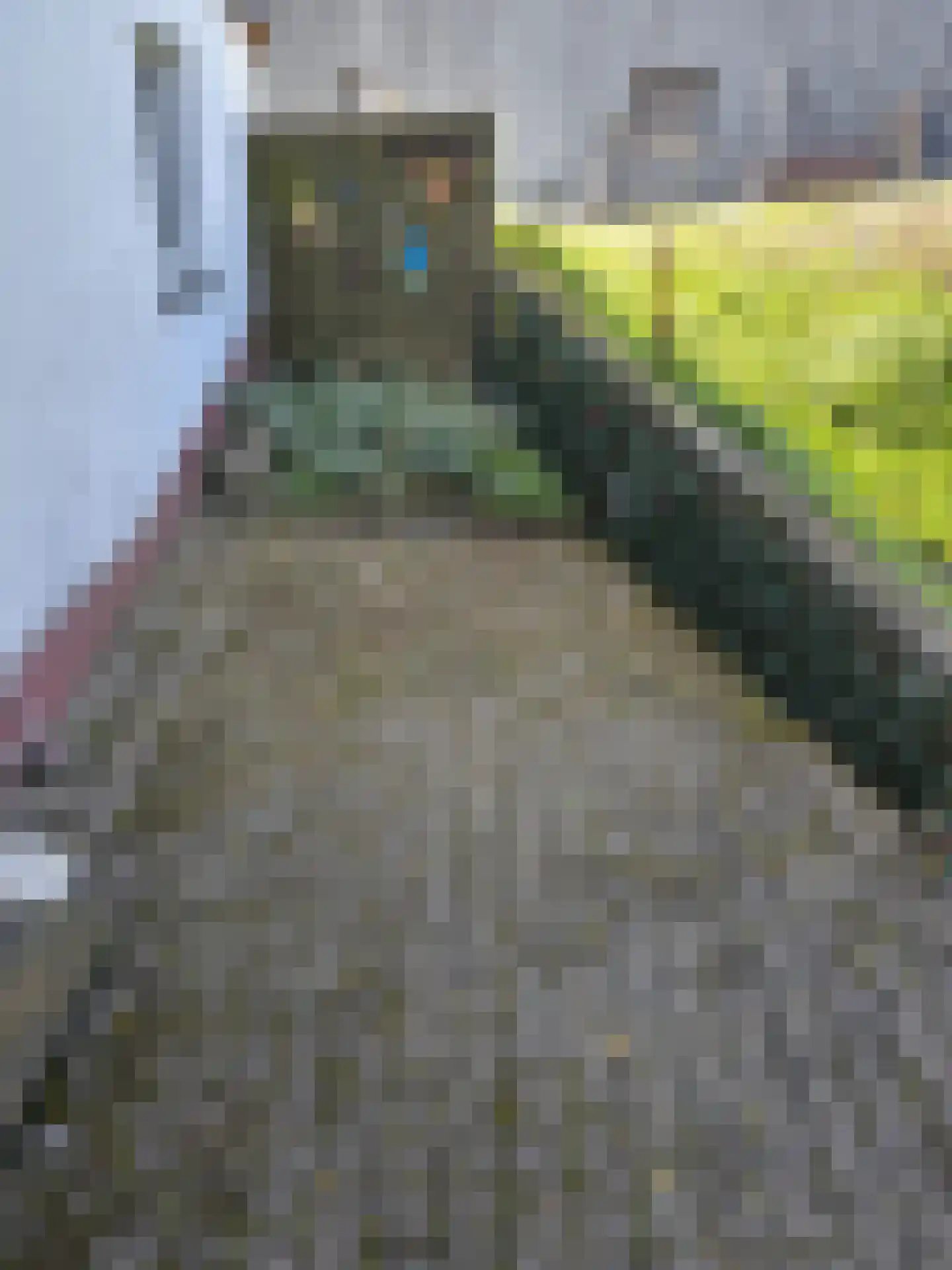 Viergrenzenweg 2 Vaals thumbnail 13