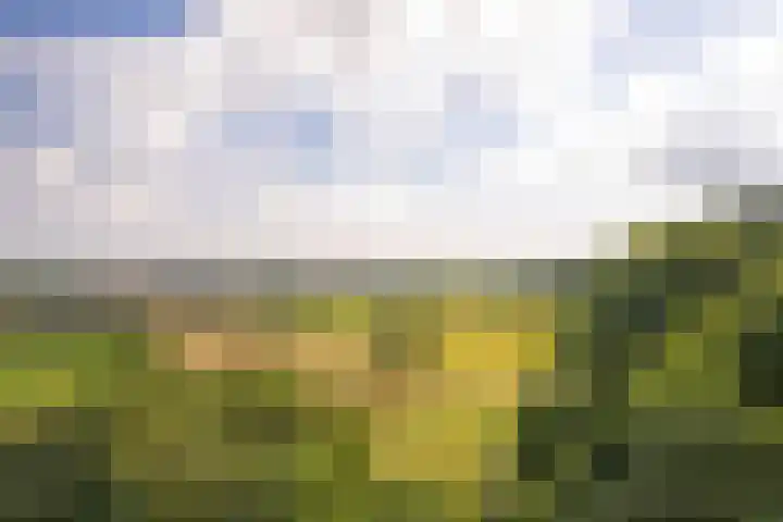 Viergrenzenweg 204 Vaals thumbnail 14