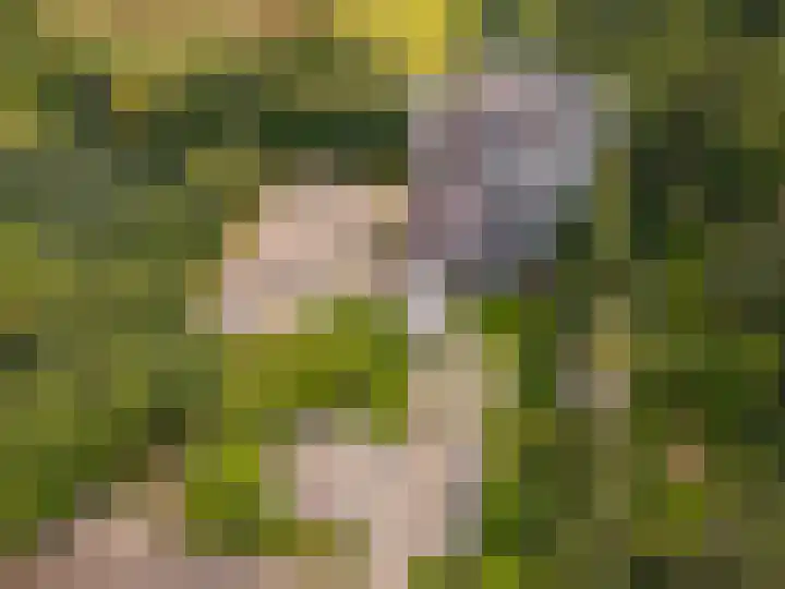 Viergrenzenweg 204 Vaals thumbnail 16
