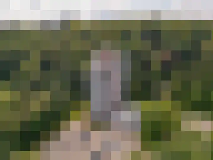 Viergrenzenweg 204 Vaals thumbnail 17