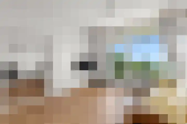 Viergrenzenweg 210 Vaals thumbnail 11