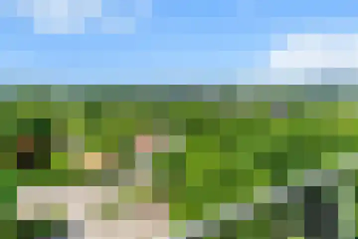 Viergrenzenweg 210 Vaals thumbnail 21
