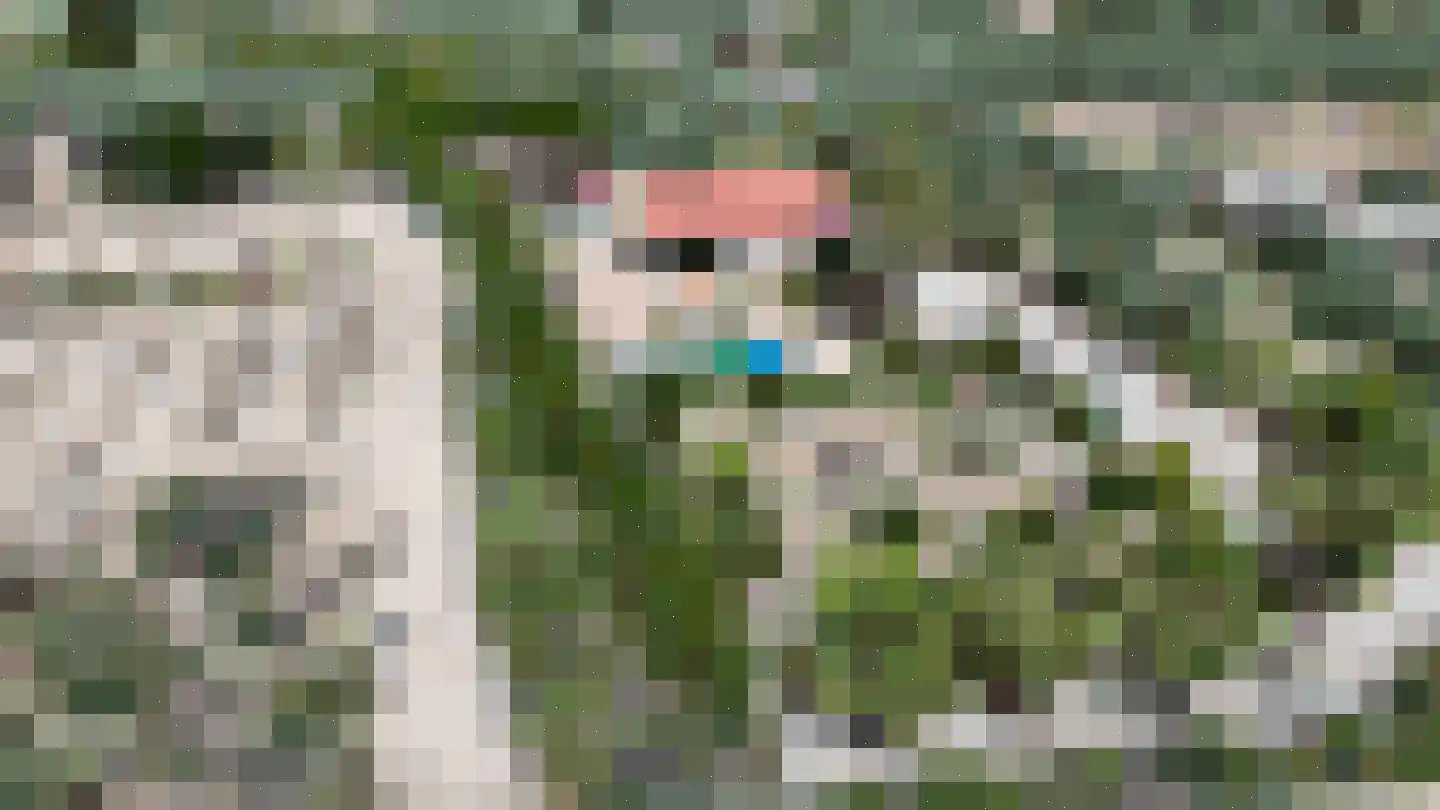 Viergrenzenweg 242 Vaals thumbnail 12