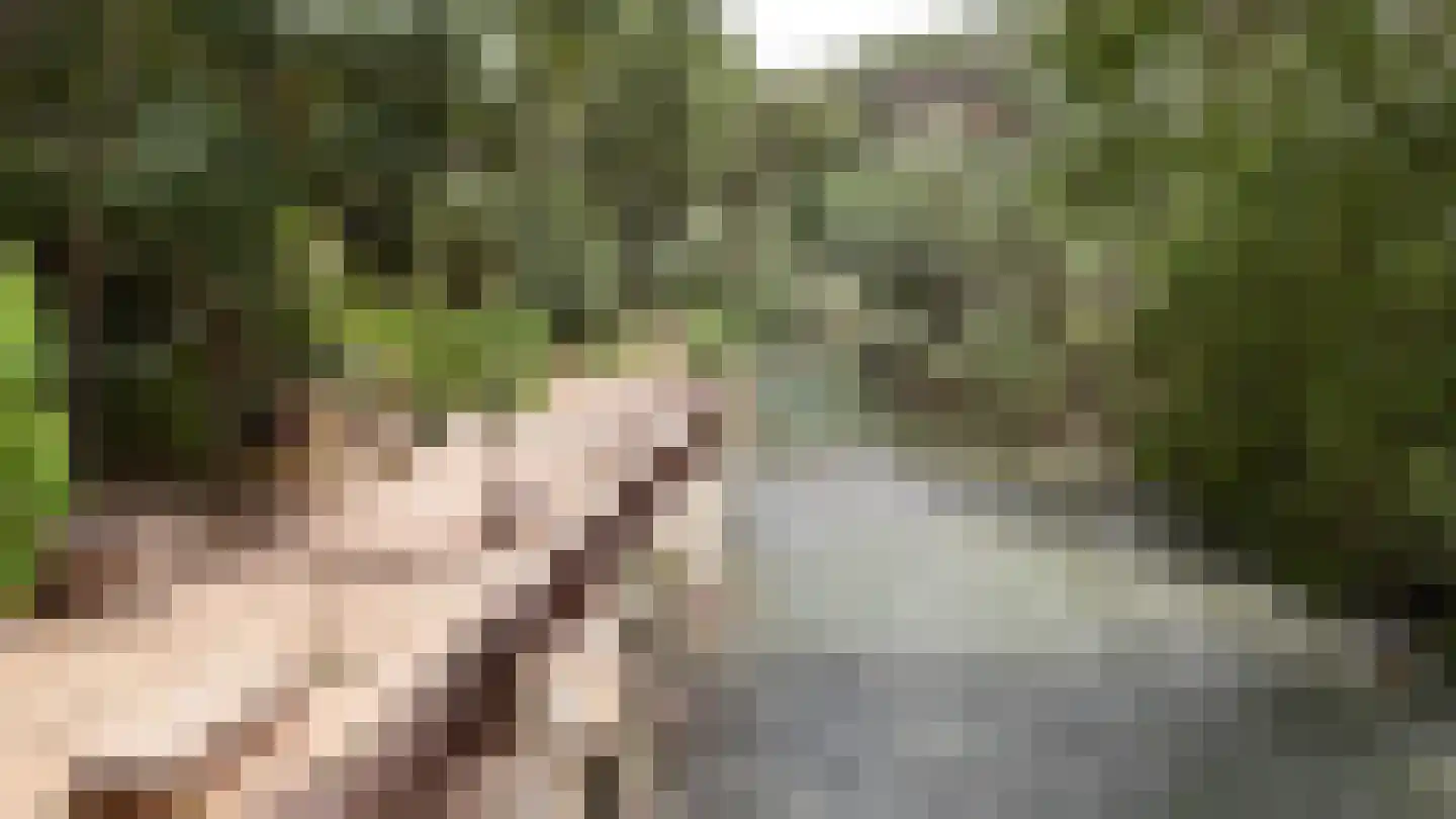 Viergrenzenweg 242 Vaals thumbnail 16