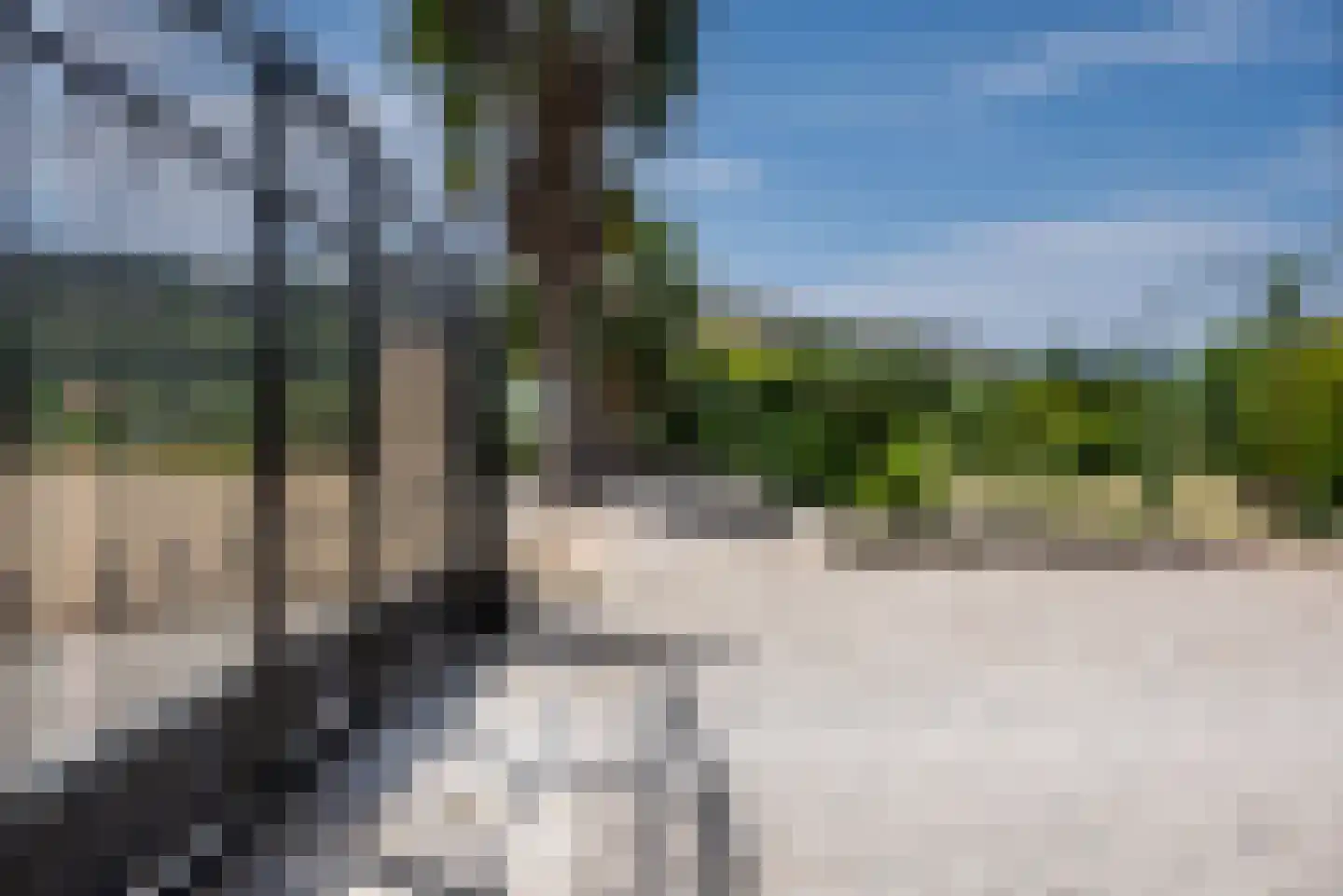 Viergrenzenweg 242 Vaals thumbnail 18
