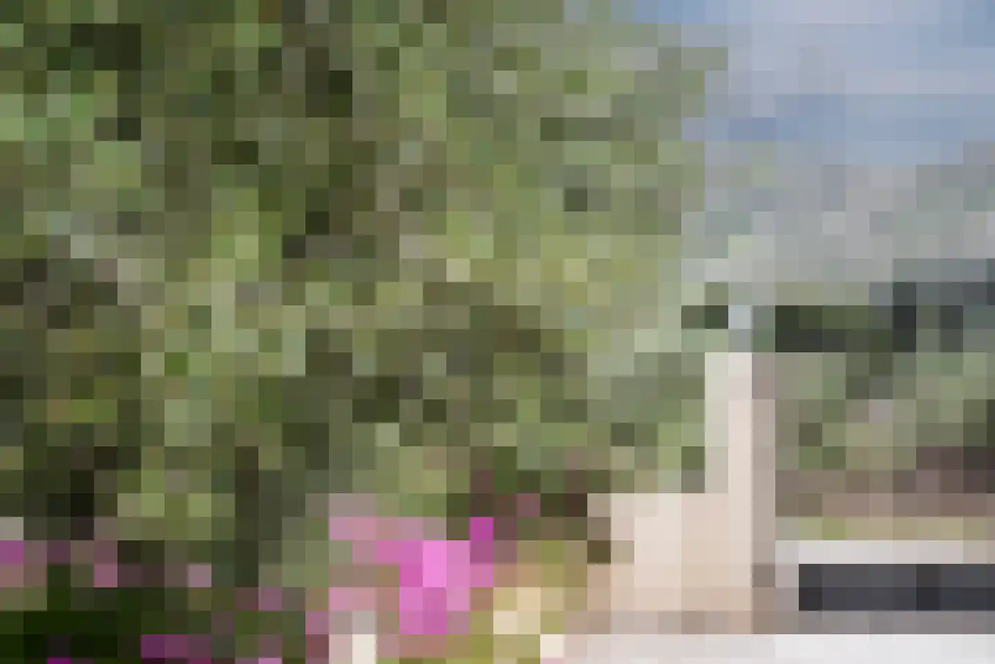 Viergrenzenweg 242 Vaals thumbnail 19