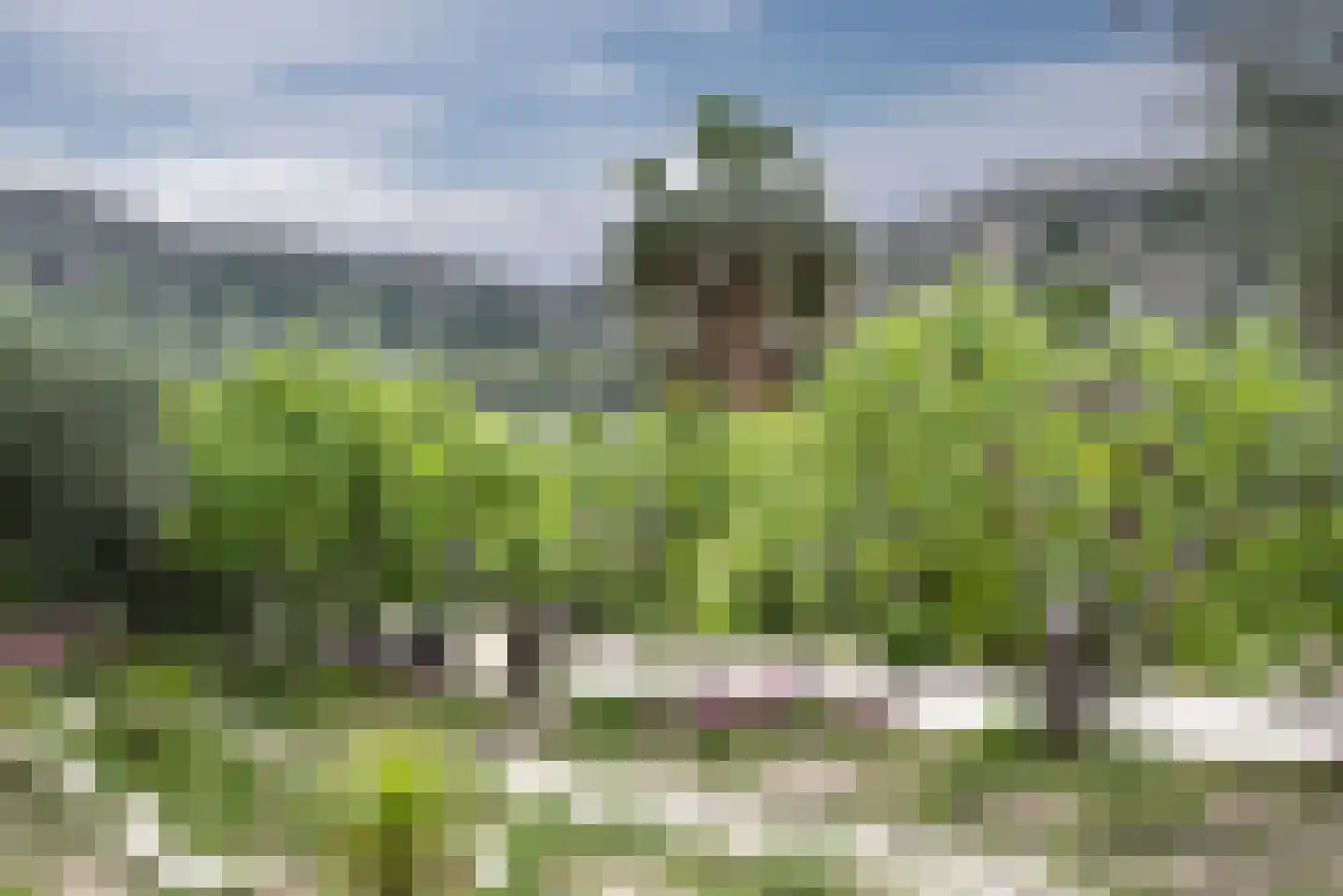 Viergrenzenweg 242 Vaals thumbnail 22