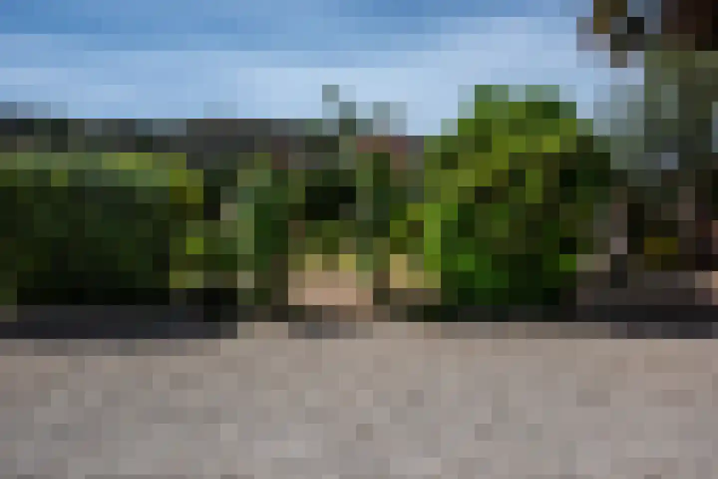 Viergrenzenweg 242 Vaals thumbnail 28