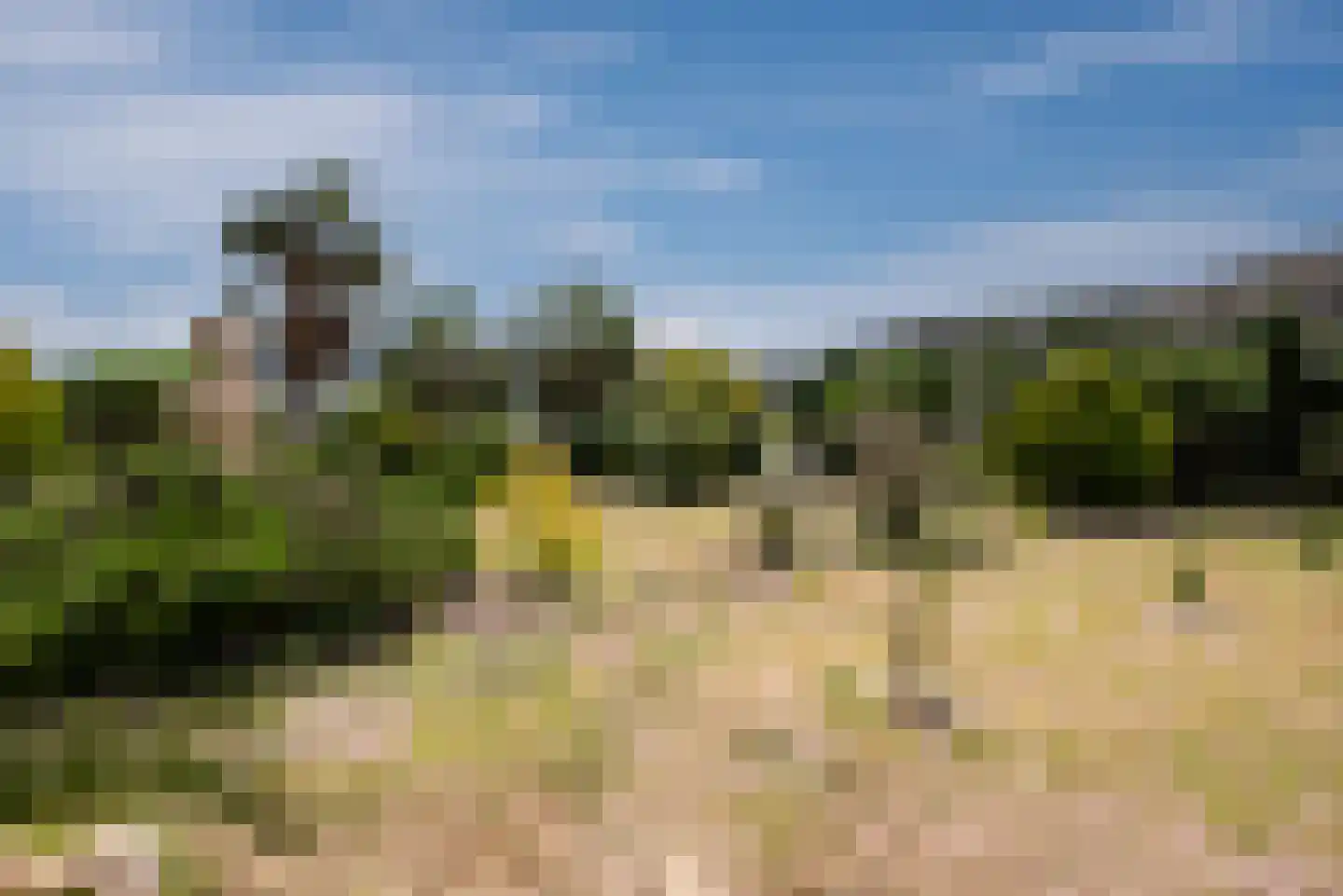 Viergrenzenweg 242 Vaals thumbnail 30