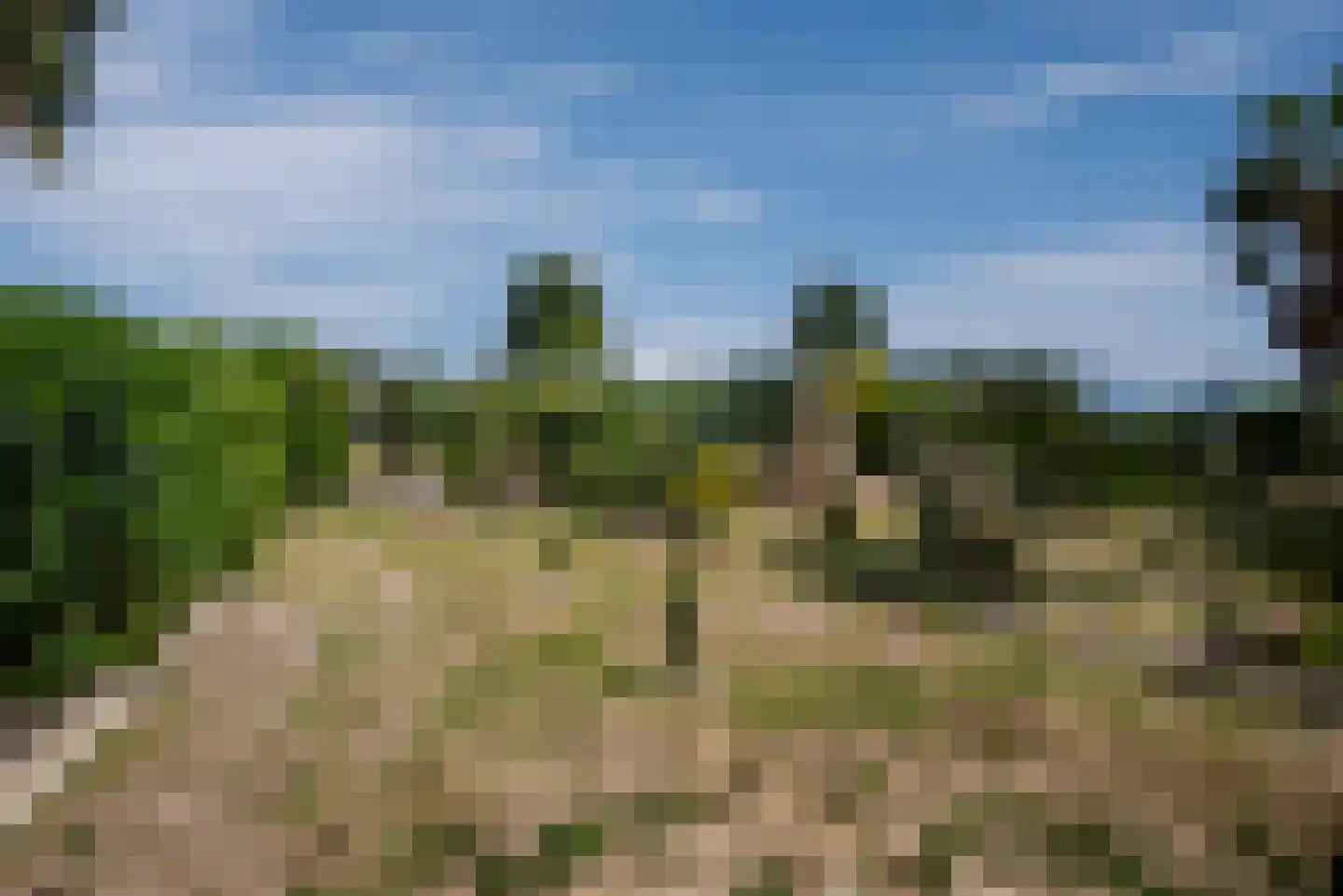 Viergrenzenweg 242 Vaals thumbnail 32
