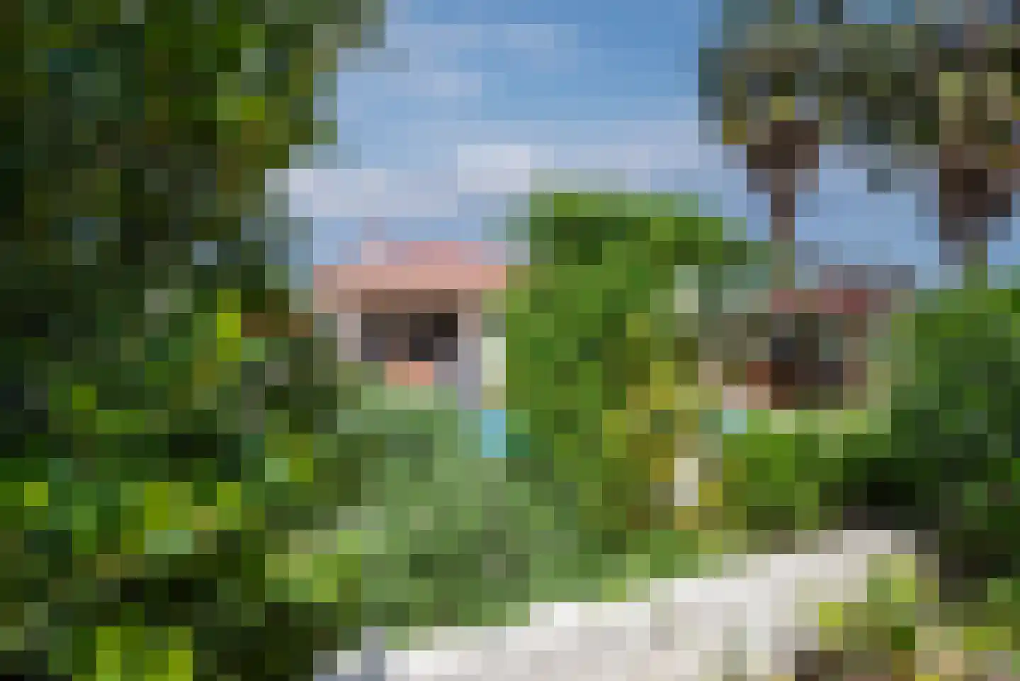 Viergrenzenweg 242 Vaals thumbnail 33