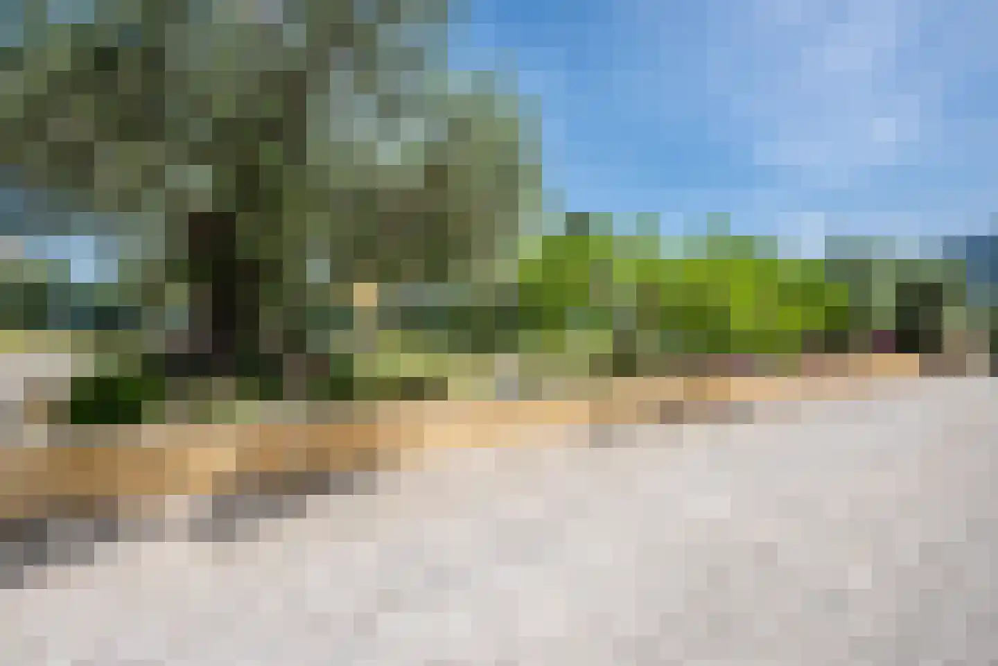 Viergrenzenweg 242 Vaals thumbnail 35