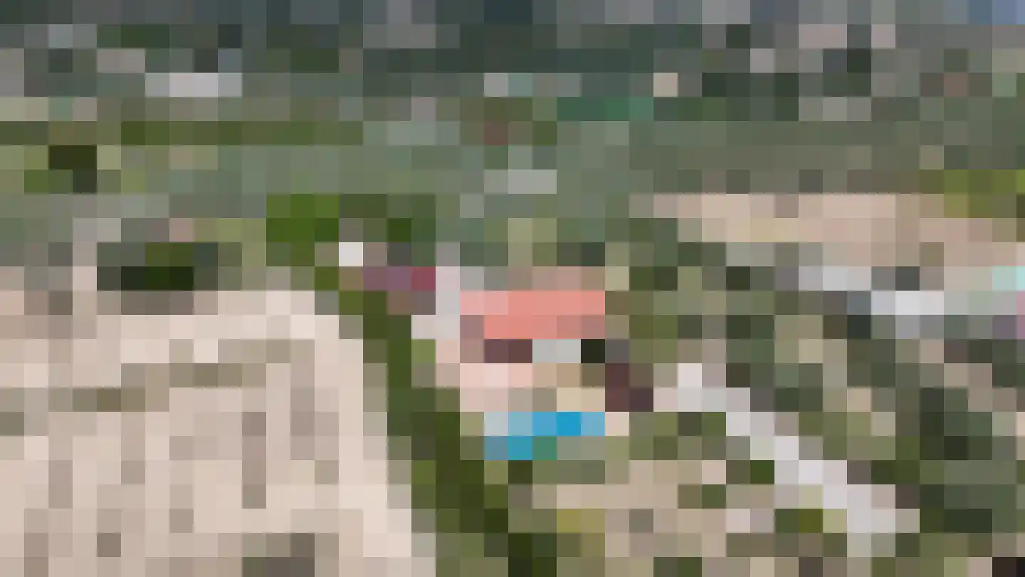 Viergrenzenweg 242 Vaals thumbnail 5