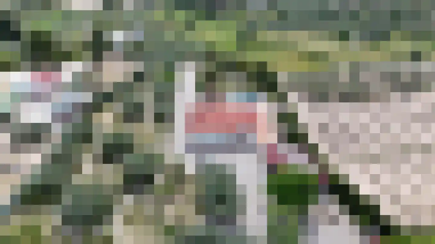 Viergrenzenweg 242 Vaals thumbnail 7