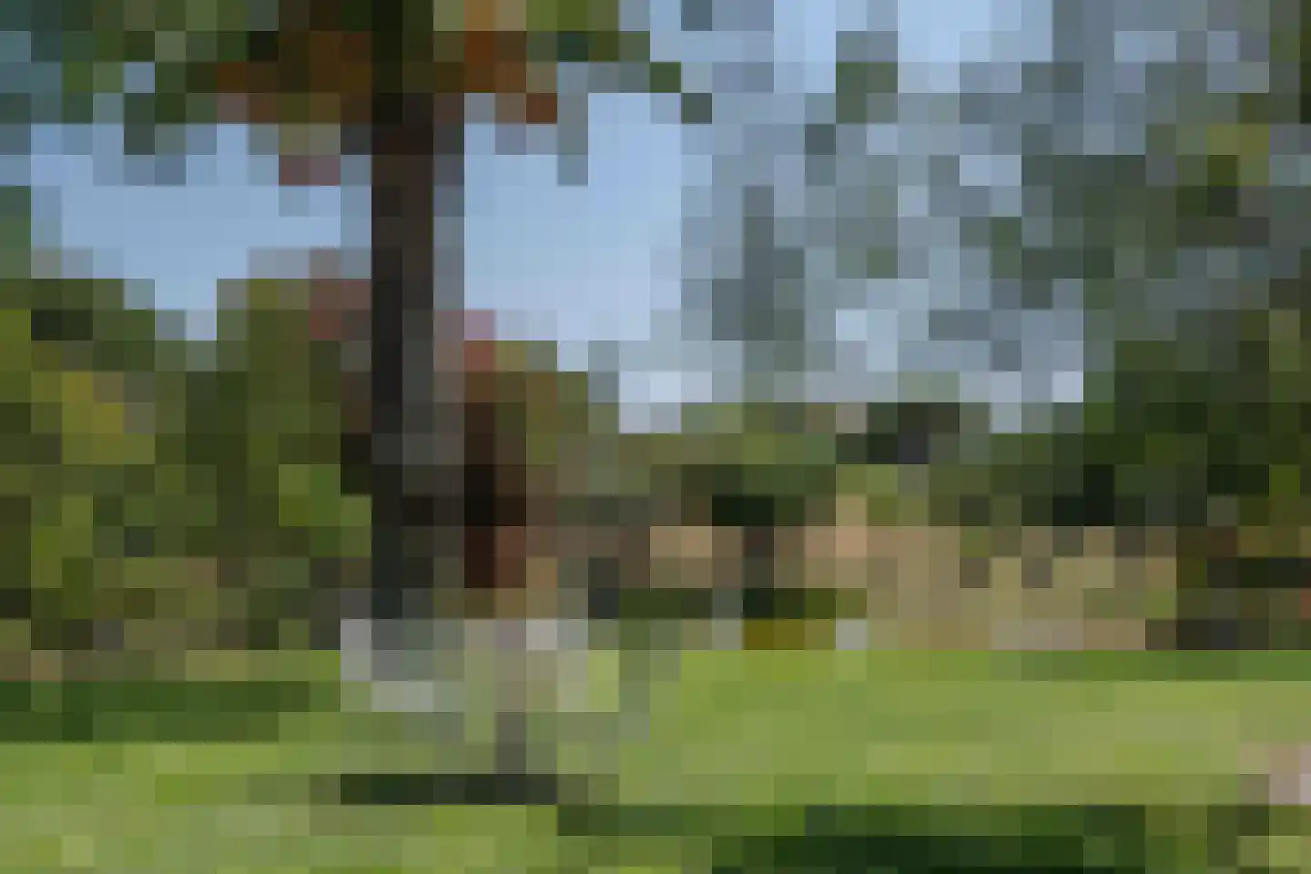 Viergrenzenweg 27 Vaals thumbnail 51