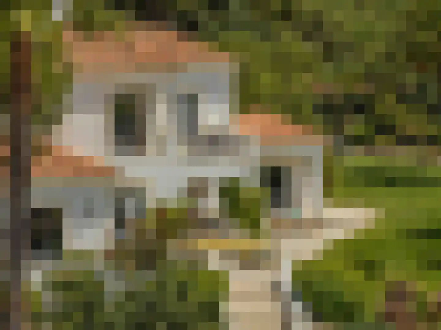 Viergrenzenweg 27 Vaals thumbnail 7